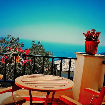 게스트하우스 Muses 3*