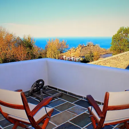 Muses Guest house *