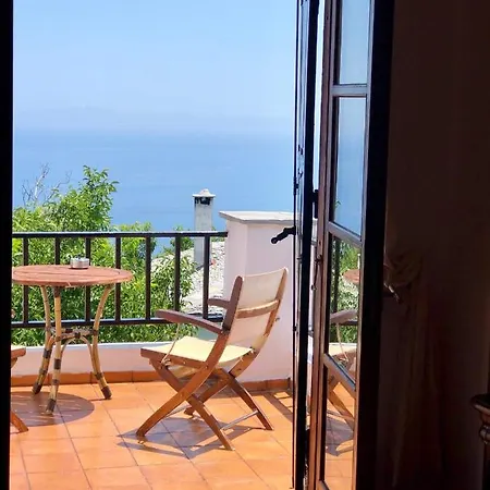 Muses Guest house *