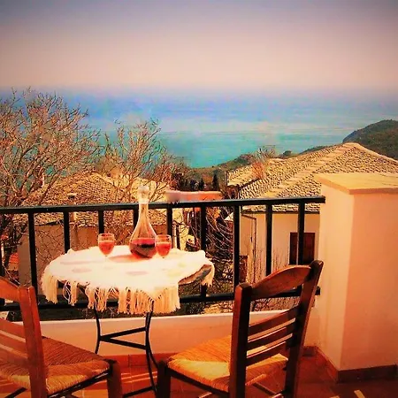 Muses Guest house *