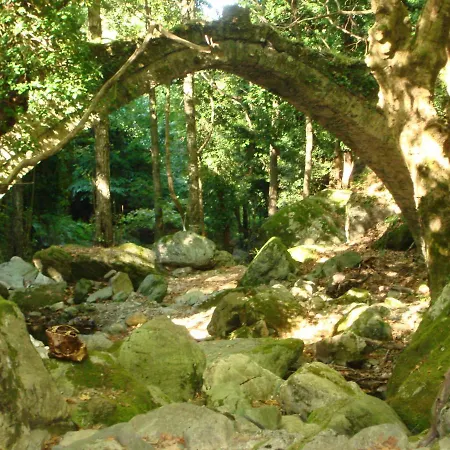 Muses Gasthof Zagora