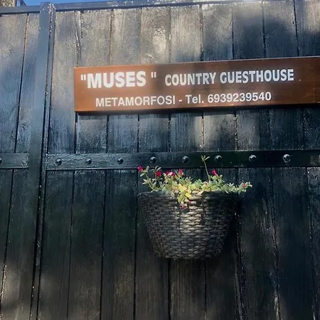 Guest house Muses