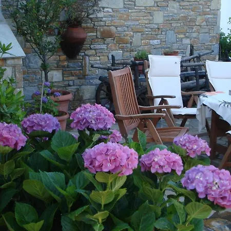 Muses Guest house