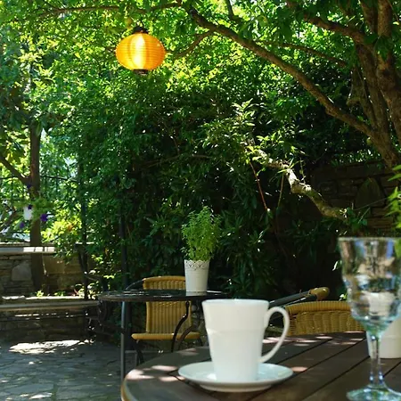 Muses Guest house