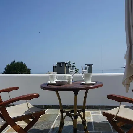 Guest house Muses *