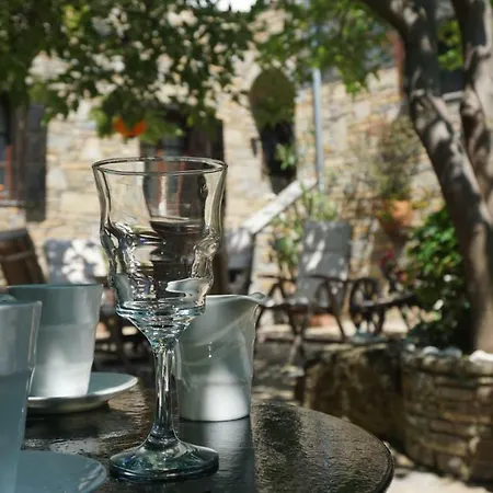 Muses Guest house *