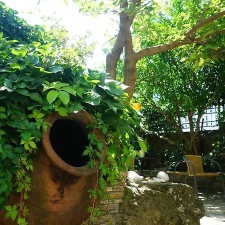 Muses Guest house